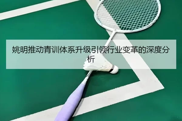 姚明推动青训体系升级引领行业变革的深度分析